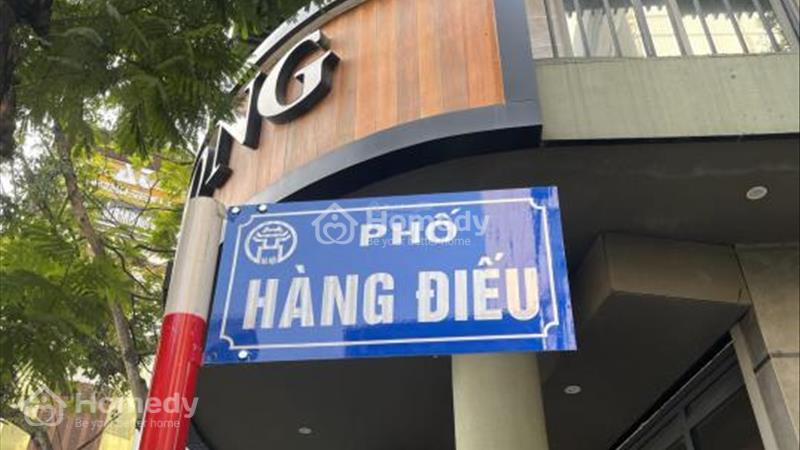 Sở hữu ngay nhà mặt tiền 2 tầng, 48 m2, mặt tiền 15m tại Phố Hàng Điếu - Hoàn Kiếm, giá 56 tỷ - Ảnh 1