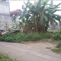 Bán đất mặt Ngõ chính Thượng Phúc, Tả Thanh Oai, diện tích 48.6m2 mặt tiền 3.5m
