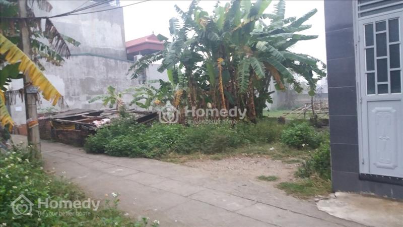 Bán đất mặt Ngõ chính Thượng Phúc, Tả Thanh Oai, diện tích 48.6m2 mặt tiền 3.5m - Ảnh 1