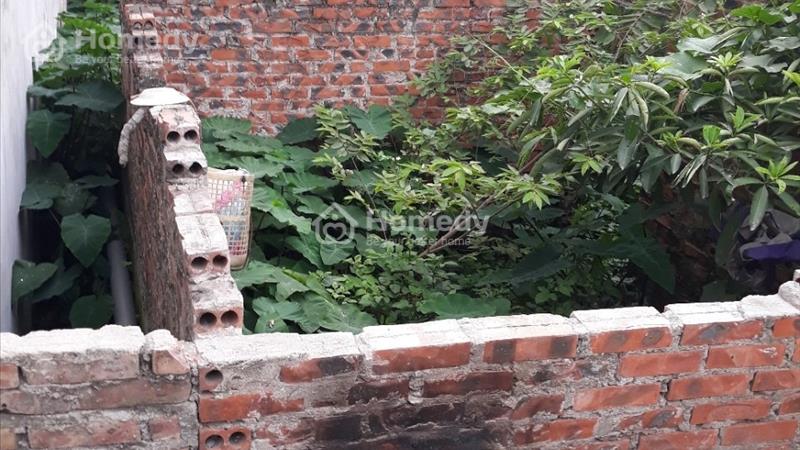 Bán đất mặt Ngõ chính Thượng Phúc, Tả Thanh Oai, diện tích 48.6m2 mặt tiền 3.5m - Ảnh 3