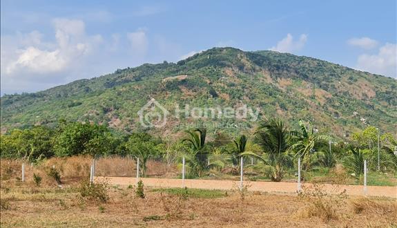 Bán đất 1000 m2 , 36 m mặt tiền bê tông xã Suối Cát giá 1 tỷ 300 TR - Ảnh 1