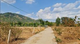 Bán đất 1000 m2 , 36 m mặt tiền bê tông xã Suối Cát giá 1 tỷ 300 TR - Ảnh 4