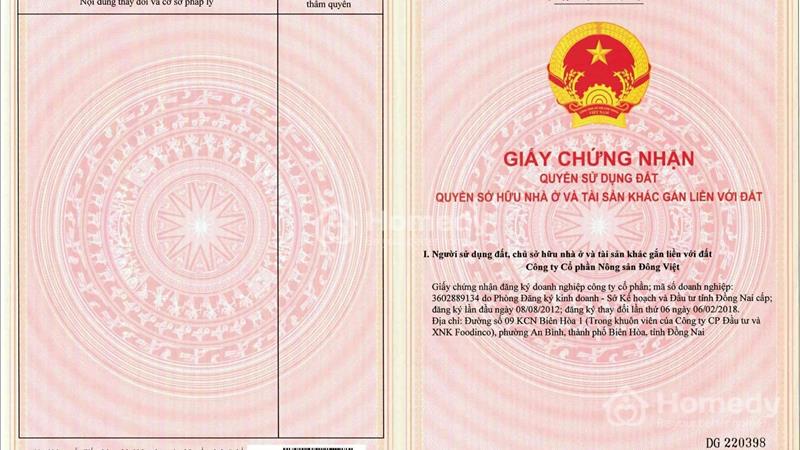 ✅ Đất nền vị trí đắc địa, tiềm năng phát triển lớn - Ảnh 8