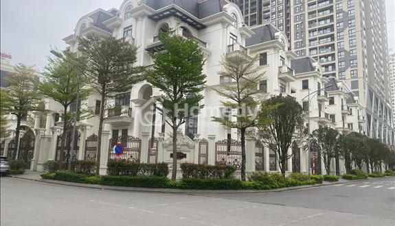 Bán biệt thự The Zei Mỹ Đình diện tích 267m2 giá 97 tỷ - Ảnh 1