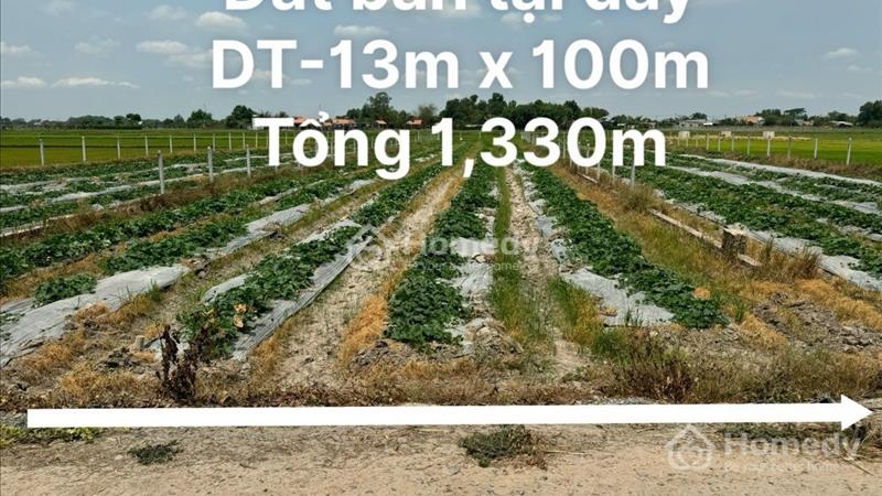 Sang nhượng gấp lô đất vườn 1330m2 , shr sang tên ngay xã Trung Lập Thượng - Ảnh 2