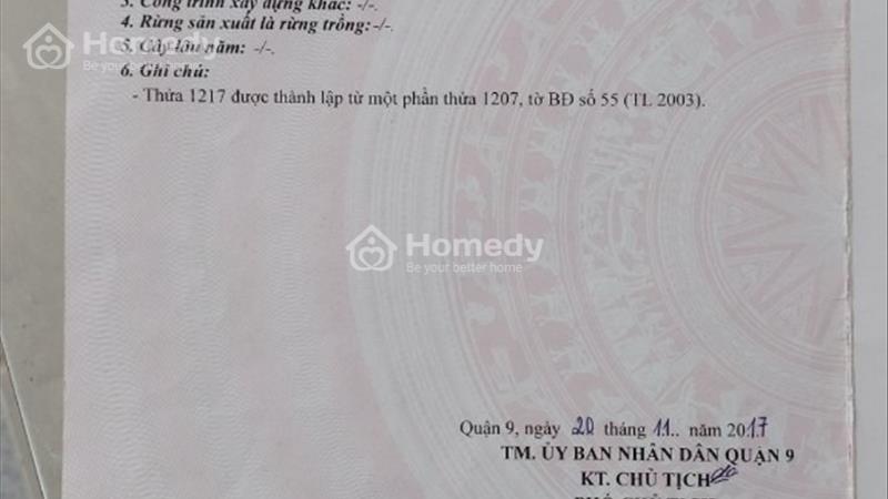 Cần bán nhanh 2 căn nhà vị trí đẹp trung tâm Quận 9, Giá Cực Tốt - Ảnh 4