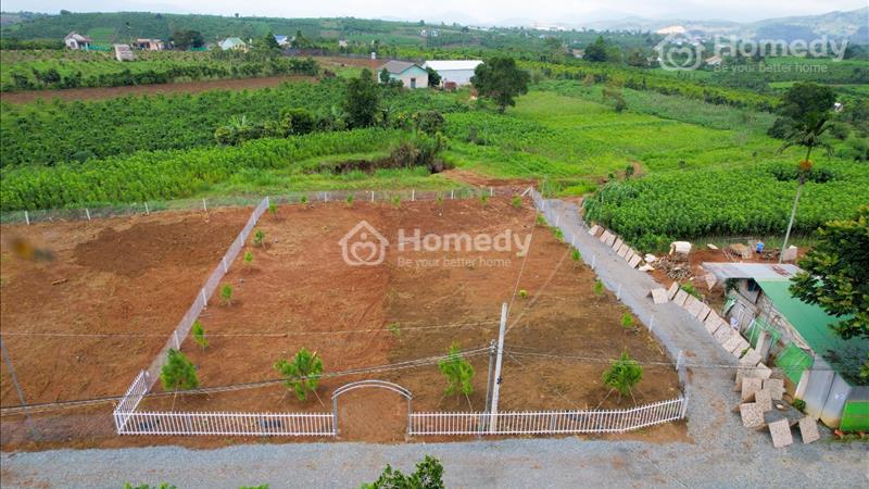 Bán đất Lộc Tân Bảo Lâm. Mặt tiền đường. Diện tích 1014 m2. Ngang 27x40m. Có suối, có thổ cư. HOT - Ảnh 2