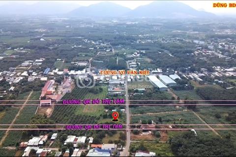 Đất cắt lỗ mặt đường Đinh Công Tráng, cách Võ Văn Kiệt 300m. 20x40 có 100m2 thổ cư 