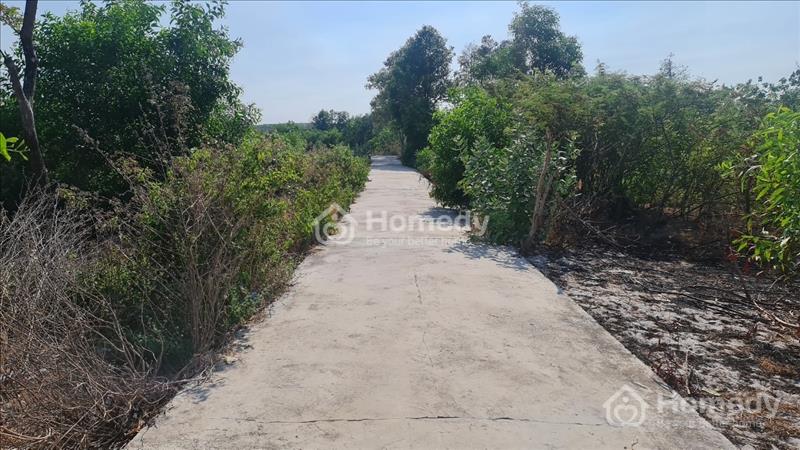 Bán gấp 6x30 full thổ cư, xã Tân Phước, Thị Xã LaGi, Bình Thuận.Gần Biển Cam BÌnh-Giá rẻ - Ảnh 2