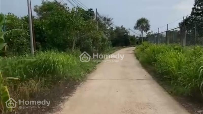 Bán đất mặt tiền đường Bê tông xuân bảo, Cẩm mỹ, Đồng Nai - Ảnh 3