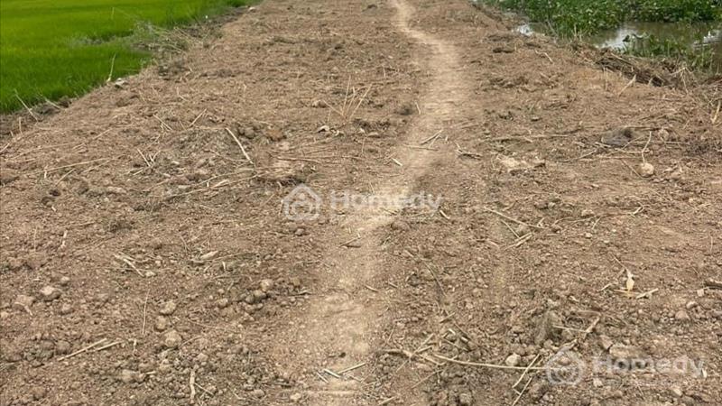 Cần tiền gấp bán nhanh 5656m2 Mặt Tiền Nhánh Cống ngăn mặn - Ảnh 1