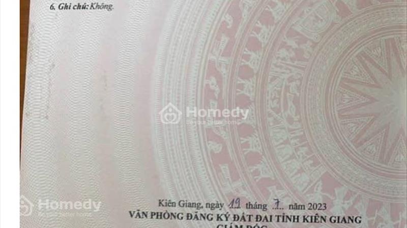 Cần tiền gấp bán nhanh 5656m2 Mặt Tiền Nhánh Cống ngăn mặn - Ảnh 2