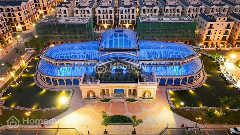 Ngộp tài chính nặng cần bán gấp - Biệt Thự, Liền kề Vin Ocean Park 2 cực rẻ - Ảnh 14