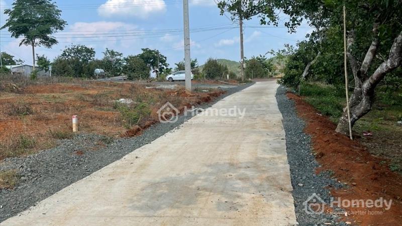 Đúng 300 triệu - 500m2 mặt tiền đường Bê tông có thổ cư - Ảnh 2