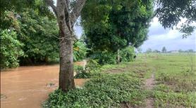 Bấn đất View suối thích hợp làm nghỉ dưỡng xã Suối Cát huyện Xuân Lộc  - Ảnh 5