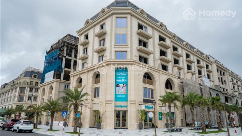 Shophouse biển Regal Legend ra mắt giỏ hàng đợt 2 với chính sách cực kỳ tốt - Ảnh 4