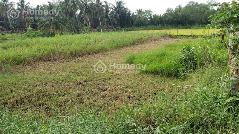 Chính Chủ cần bán đất liền kề kdt WaterPoint , Bến Lức , Long An - Ảnh 6