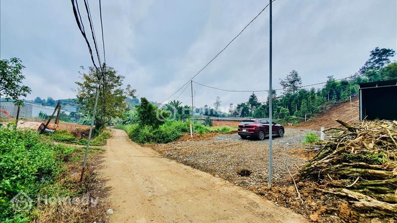 Cần bán lô đất 3 sào 7, thôn 3 Lộc Thành, chỉ 2,4 tỷ - Ảnh 4
