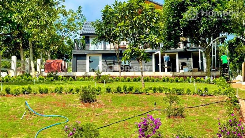 Bán đất tặng Homestay gần 1000m có 200mTC, view đẹp, cạnh các khu DL - Ảnh 3