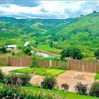 Bán đất tặng Homestay gần 1000m có 200mTC, view đẹp, cạnh các khu DL