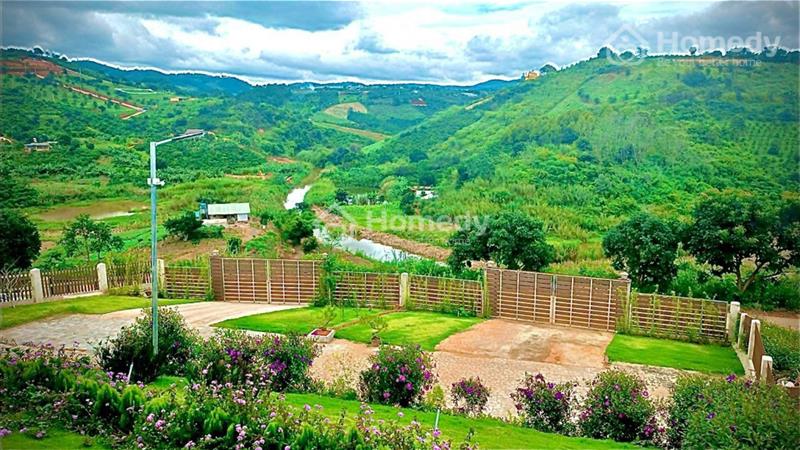 Bán đất tặng Homestay gần 1000m có 200mTC, view đẹp, cạnh các khu DL - Ảnh 1