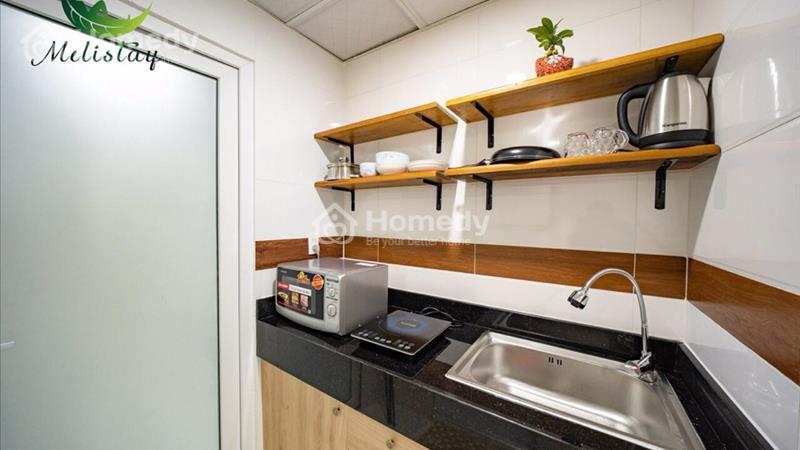 Cho thuê căn hộ quận 1, ban công lớn , gần cầu ông lãnh - Ảnh 11