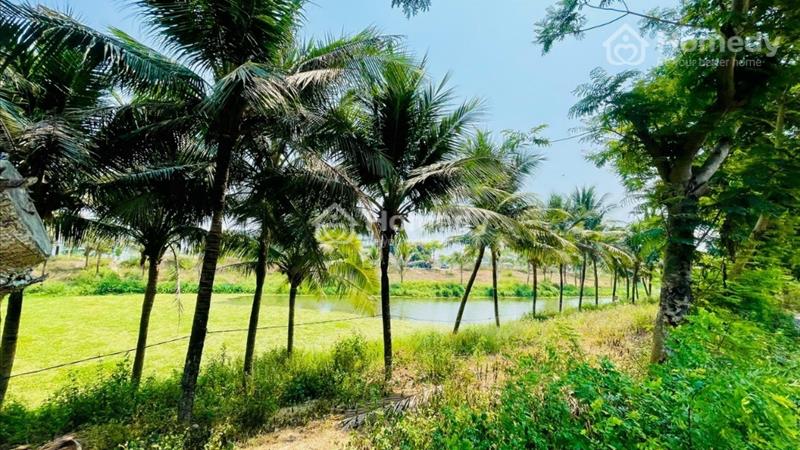 Lô Đất Nền FPT city Đà Nẵng rẻ nhất thị trường - Ảnh 2