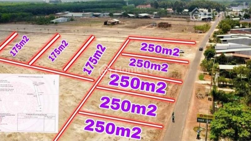 Đất ở đô thị ngay trung tâm Tp Đồng Xoài giá chỉ 2,8tr/m2. Sổ sẵn công chứng ngay . - Ảnh 4