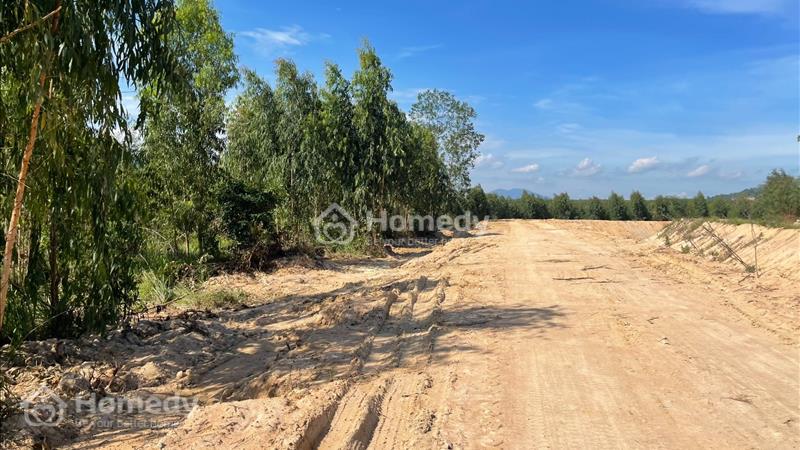 Bán 6.8 sào đất Tân Xuân, Huyện Hàm Tân giảm sốc 50% chỉ 180tr/ sào - Ảnh 1