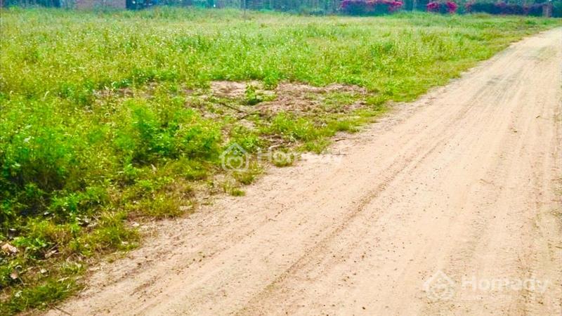 Bán 6000m2 đất, bề ngang 100m tại Eakly, Krongpac, Daklak giá chỉ 1,6 tỷ - Ảnh 2