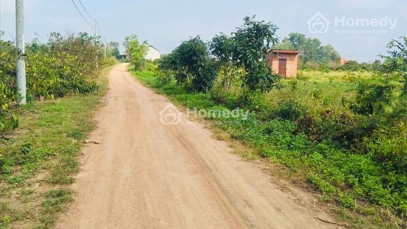 Bán 6000m2 đất, bề ngang 100m tại Eakly, Krongpac, Daklak giá chỉ 1,6 tỷ - Ảnh 1