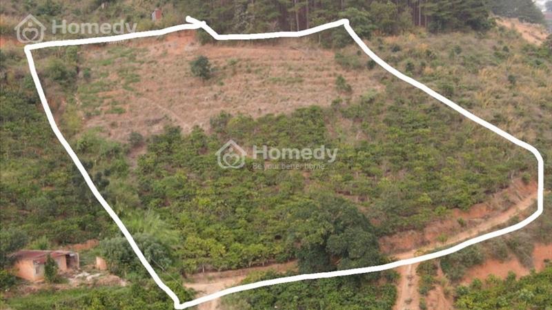 Chính chủ bán lô 3200m có 73m mặt đường, ở MêLinh cách Đl 22km, dang tác 6 sổ - Ảnh 3