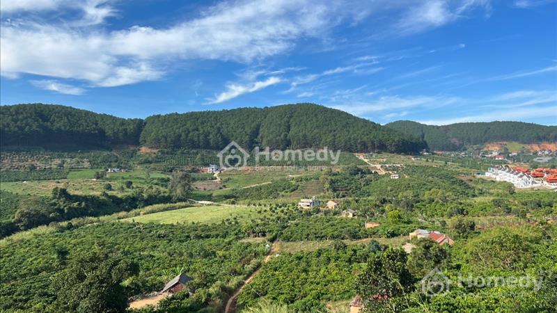 Chính chủ bán lô 3200m có 73m mặt đường, ở MêLinh cách Đl 22km, dang tác 6 sổ - Ảnh 1