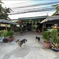 cho thuê mặt bằng 12x30 360m2 giữa chợ mỹ lộc , huyện cần giuộc , tỉnh long an