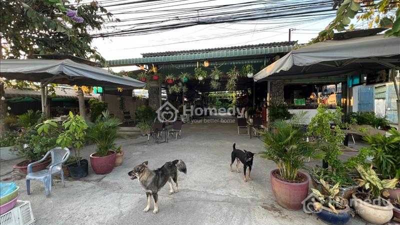 cho thuê mặt bằng 12x30 360m2 giữa chợ mỹ lộc , huyện cần giuộc , tỉnh long an - Ảnh 1