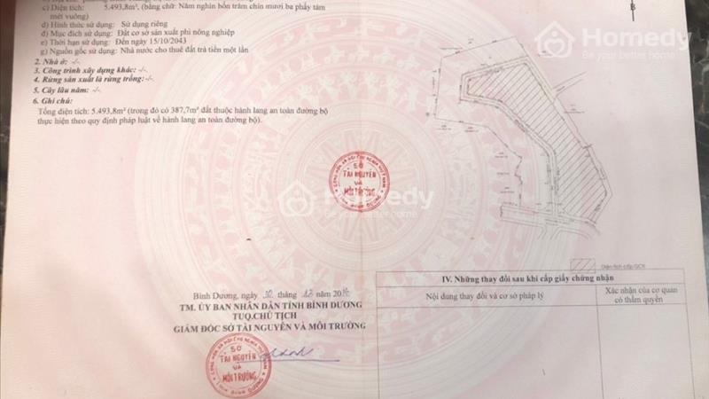 🆘🆘 Đất diện tích lớn kế bên làng đại học, P. Bình Thắng, Tp. Dĩ An - Ảnh 2