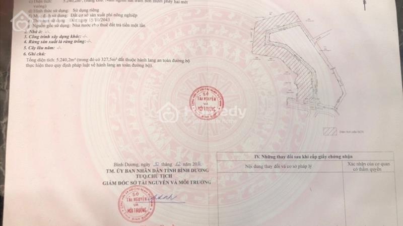 🆘🆘 Đất diện tích lớn kế bên làng đại học, P. Bình Thắng, Tp. Dĩ An - Ảnh 3
