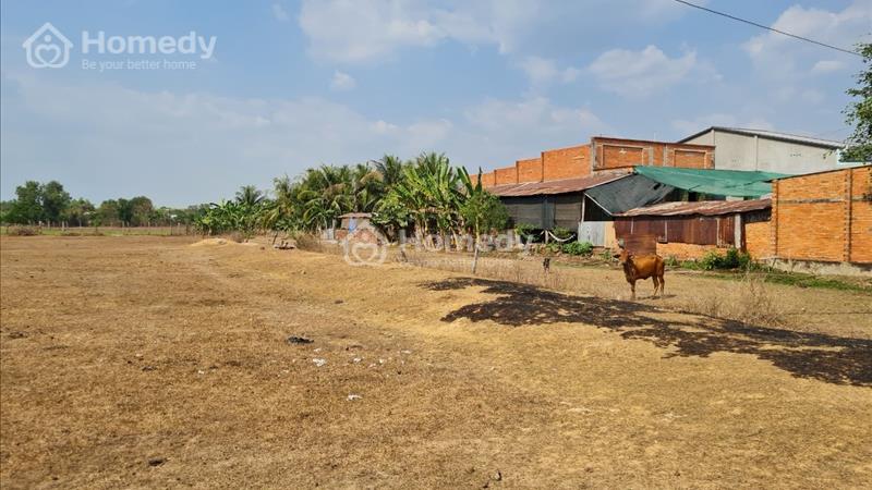 Bán gấp lô đất Mặt tiền đường ĐT 821, xã Lộc Giang, huyện Đức Hòa, tỉnh Long An - Ảnh 2