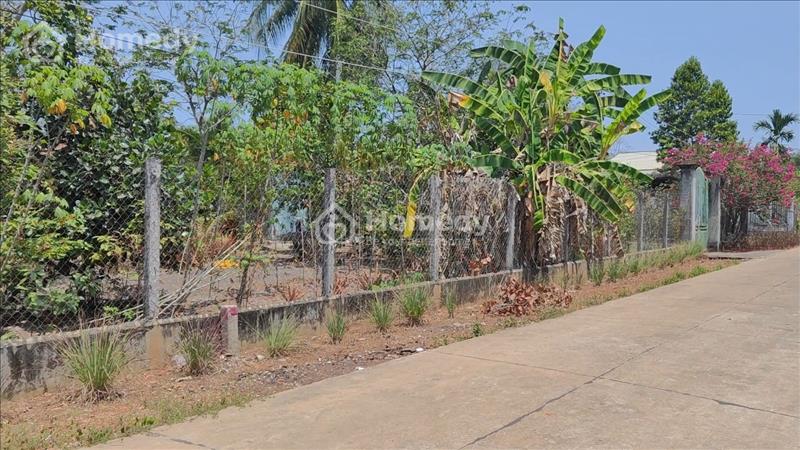 Chủ ngộp quá bán nhanh miếng đất ngay chợ Tân Hà 3xx triệu - Ảnh 1