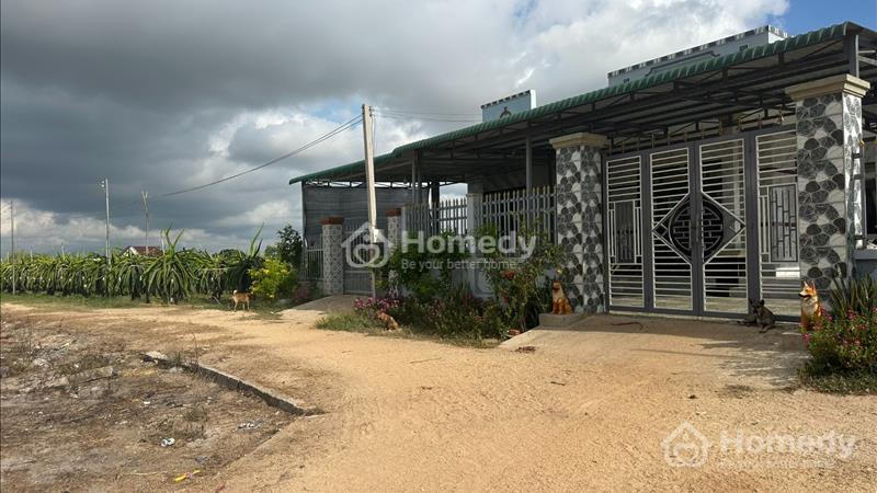 Bán 1000m2 đất giá rẻ Tân Tiến - TX LaGi chỉ 800 triệu, cách Biển 1Km - Ảnh 4