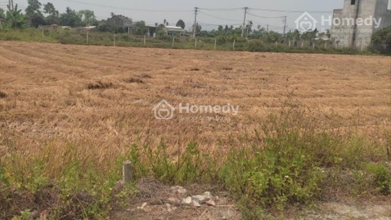 Lô Đất Nền 132m2 Bình Quý Thăng Bình - Ảnh 3