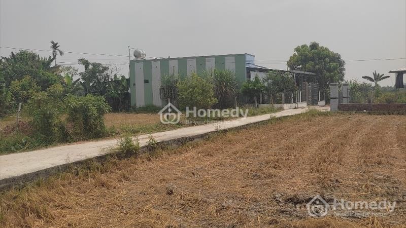 Lô Đất Nền 132m2 Bình Quý Thăng Bình - Ảnh 2