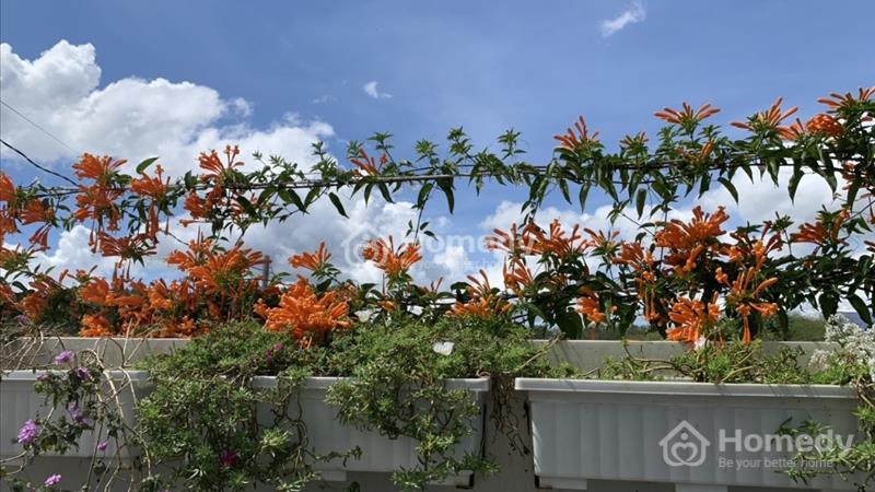 Cho thuê các căn hộ dịch vụ trong Biệt Thự Đồi Mây - Ảnh 13