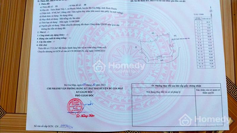 Cần bán NHANH 10894m2 đất tại xã Phước Minh, Bù Gia Mập, Bình Phước. - Ảnh 2