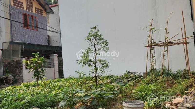 bán đất long biên, vị trí đẹp đường rộng oto tránh thoải mái - Ảnh 3