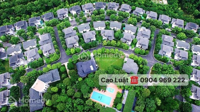 Danh sách bán chuyển nhượng biệt thự - liền kề nhà phố Ecopark 5/2024 . Em: Cao Luật 0904 969 222 - Ảnh 1