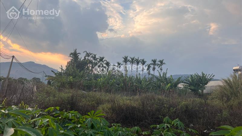Chính chủ cần bán 2lô Tà Nung 962m và 743m có 300m TC - Ảnh 4