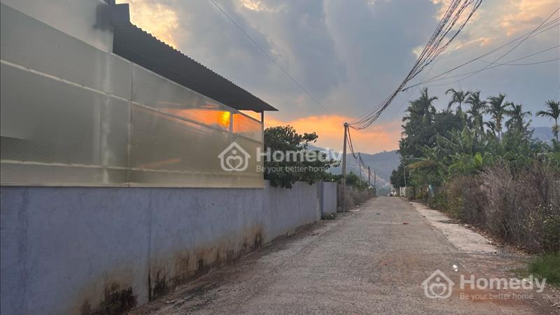 Chính chủ cần bán 2lô Tà Nung 962m và 743m có 300m TC - Ảnh 2