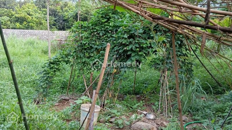 Bán lô đất 2107m 400m ONT, Hợp Hòa (cao Sơn), Lương Sơn, Hòa Bình. - Ảnh 4