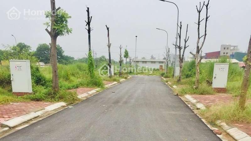 Bán đất phân lô khu 25,2ha Vân Canh diện tích 60m giá 5,5 tỷ - Ảnh 1